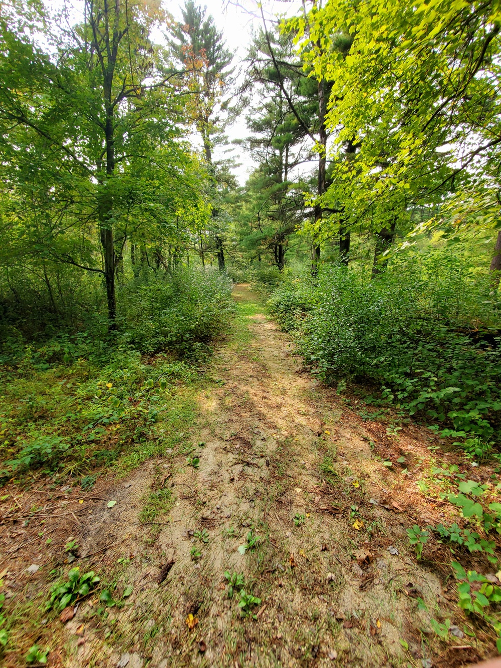 Fort McCoy's Pine View Recreation Area