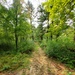 Fort McCoy's Pine View Recreation Area