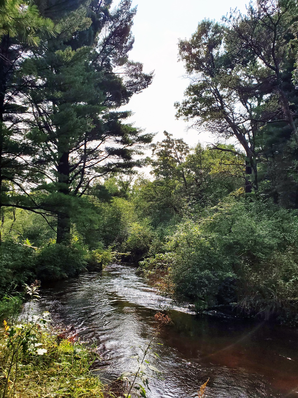 Fort McCoy's Pine View Recreation Area