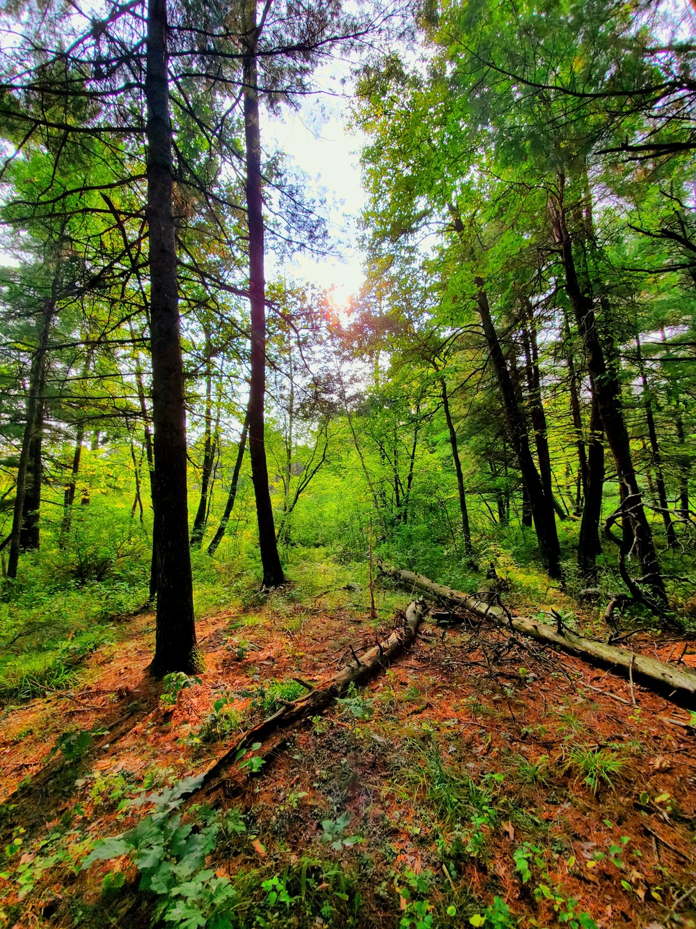 Fort McCoy's Pine View Recreation Area