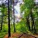 Fort McCoy's Pine View Recreation Area