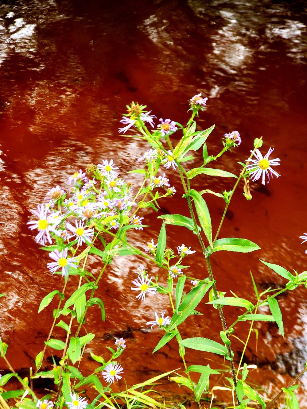 Fort McCoy's Pine View Recreation Area