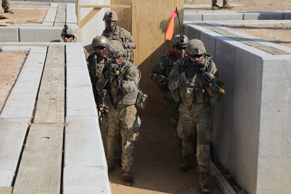 Tiger Squadron: National Training Center Bound