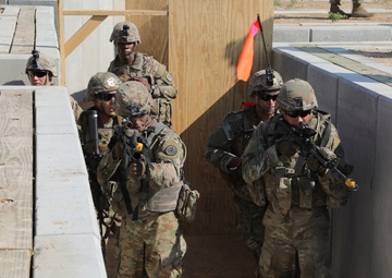 Tiger Squadron: National Training Center Bound