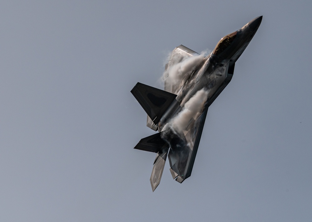 Air Force Demonstration Teams fly at the 2020 London SkyDrive Airshow