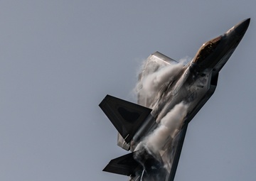Air Force Demonstration Teams fly at the 2020 London SkyDrive Airshow