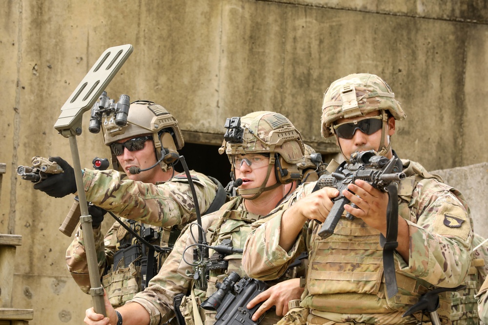 5th Special Forces Group (Airborne) and 101st Airborne Division (Air Assault) partner force training