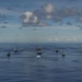 USS Ronald Reagan (CVN 76) Valiant Shield 2020