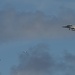 USS Ronald Reagan (CVN 76) Valiant Shield 2020