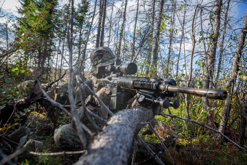 Charlie Company MCCRE insert