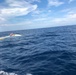 Coast Guard rescues 1 man 12 miles east of Government Cut