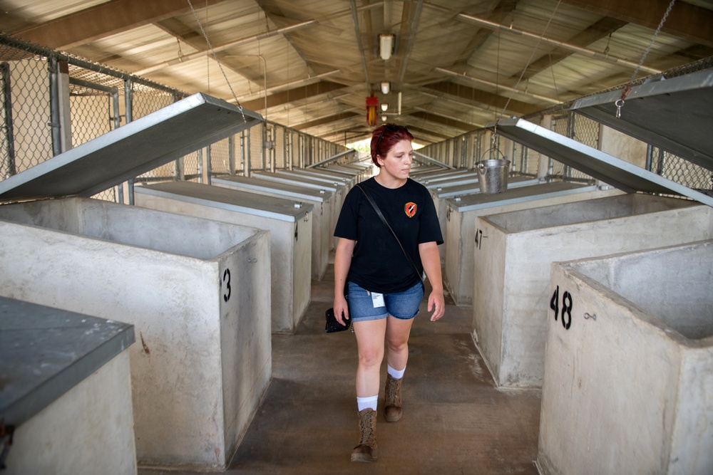 First DRIVE program candidate placed into civil service