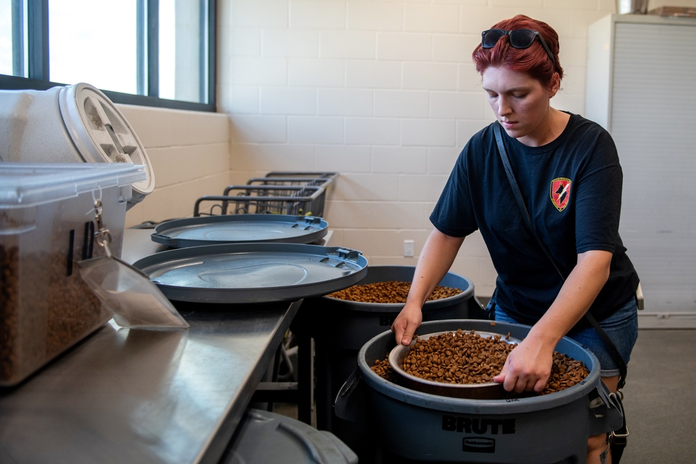 First DRIVE program candidate placed into civil service