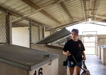 First DRIVE program candidate placed into civil service