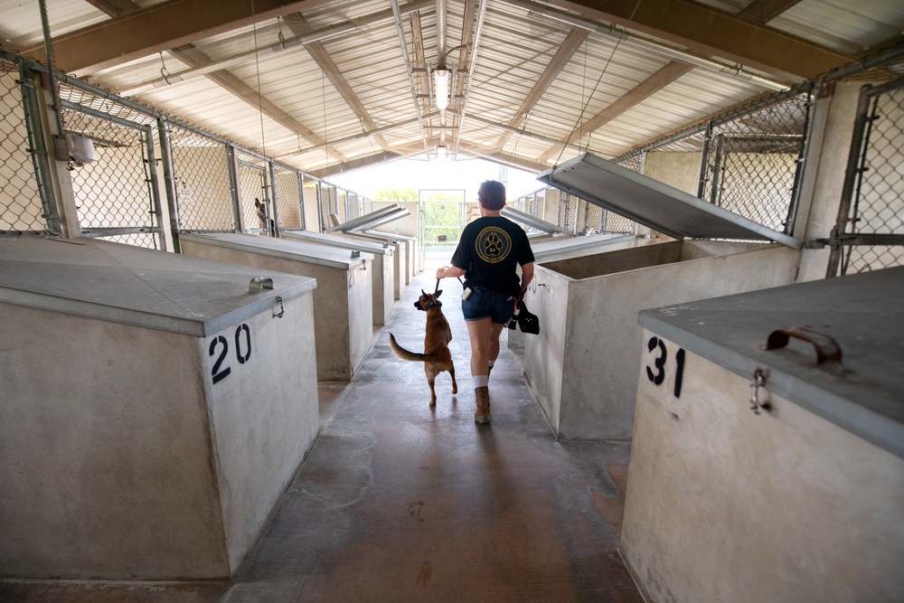 First DRIVE program candidate placed into civil service