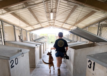 First DRIVE program candidate placed into civil service