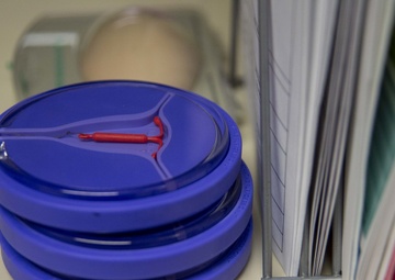 NMCSD's PINC Clinic Begins Holding Virtual Appointments