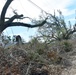 Lake Charles Hurricane Laura debris management