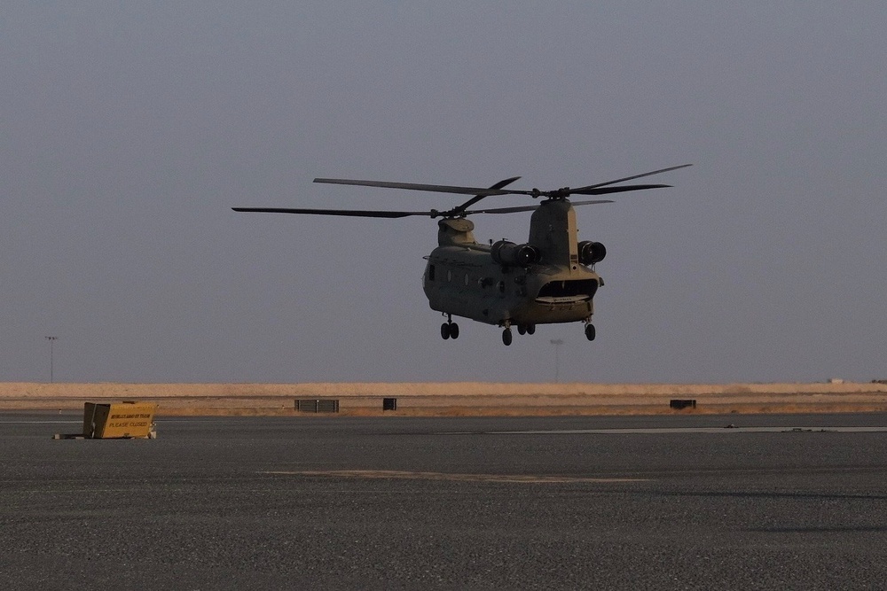 Orientation flight