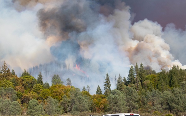 Rugged 5 conduct mop-up