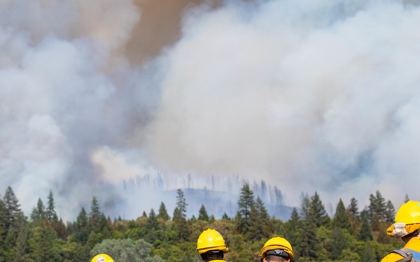 Rugged 5 conduct mop-up