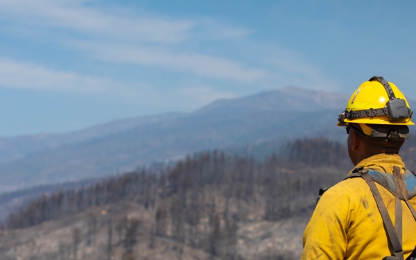 Rugged 5 conduct mop-up