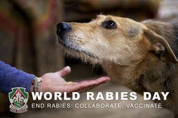 World Rabies Day: How military communities can help end rabies