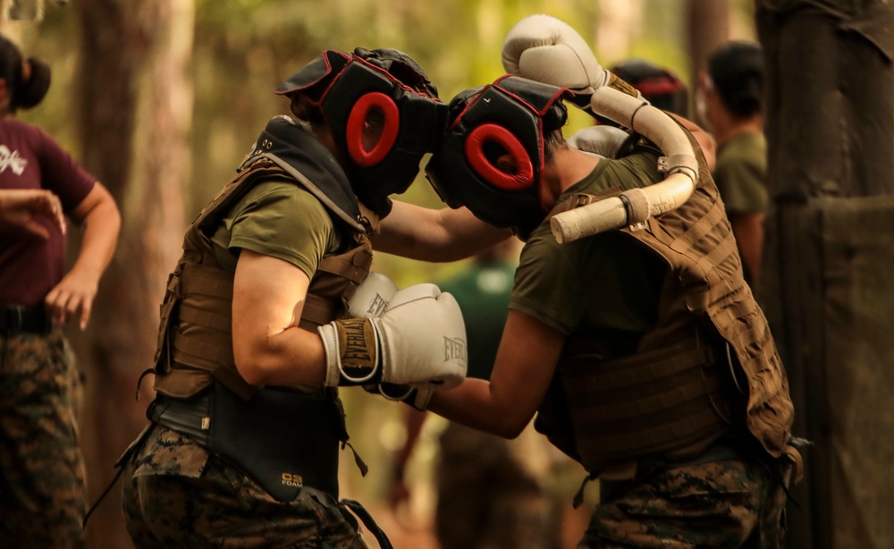 Bravo and Oscar Company Body Sparring