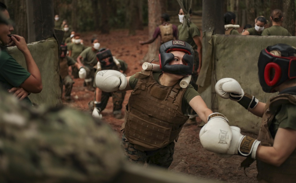 Bravo and Oscar Company Body Sparring