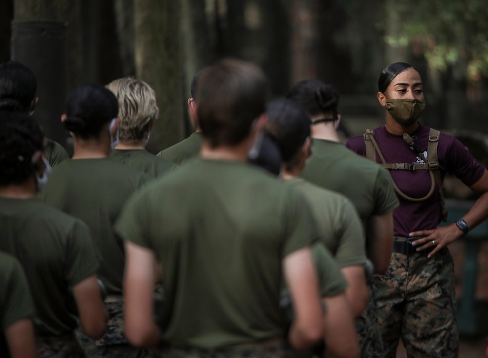 Bravo and Oscar Company Body Sparring