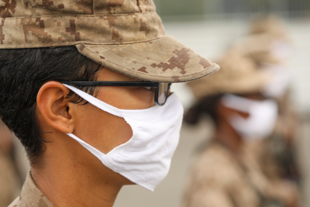 Oscar Company Crucible