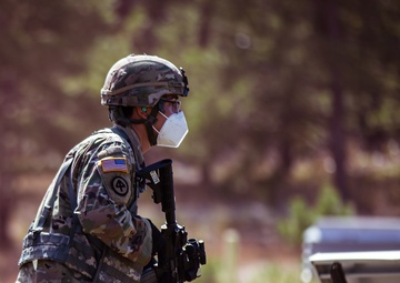250th Brigade Support Battalion conducts MOUT training
