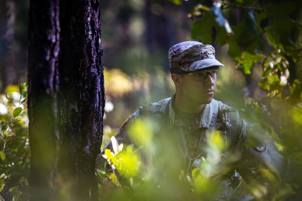 254th Regiment’s Infantry Advanced Leader Course