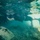 Underwater Construction Team 2 Inspects Pier in Tinian