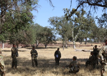 ORW 20-1 Range Training