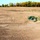 Camp Dodge Soccer Field ready for grass