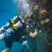 Navy Seabee Divers Inspect Pier in CNMI