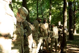 Teamwork makes the dream work