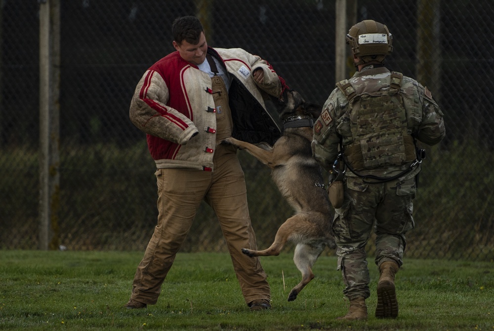 Liberty Wing defenders train against opposing forces