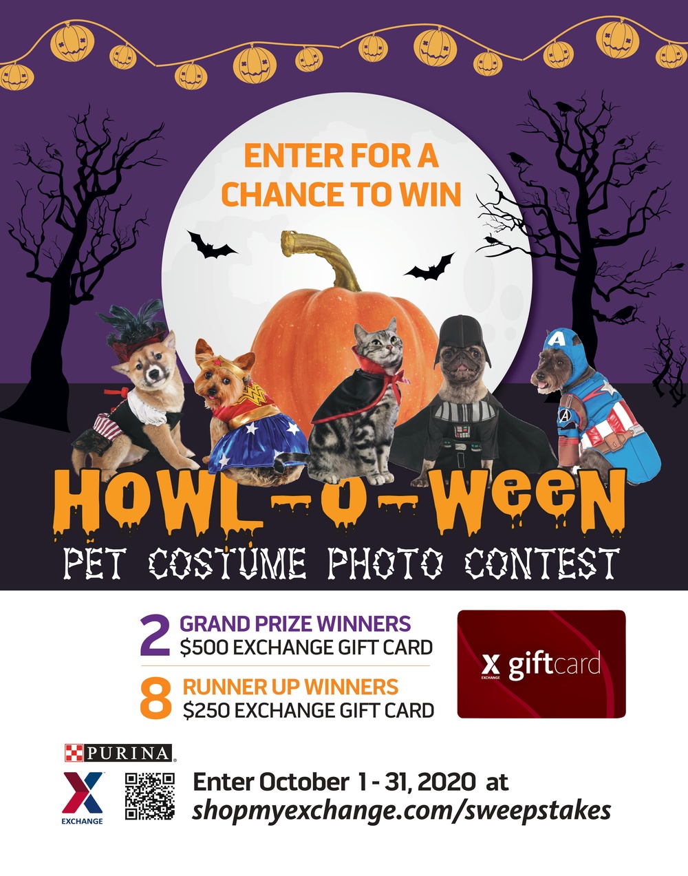 Spooktacular Pets Can Earn Families $3,000 in Exchange Gift Cards During Howl-O-Ween Photo Contest