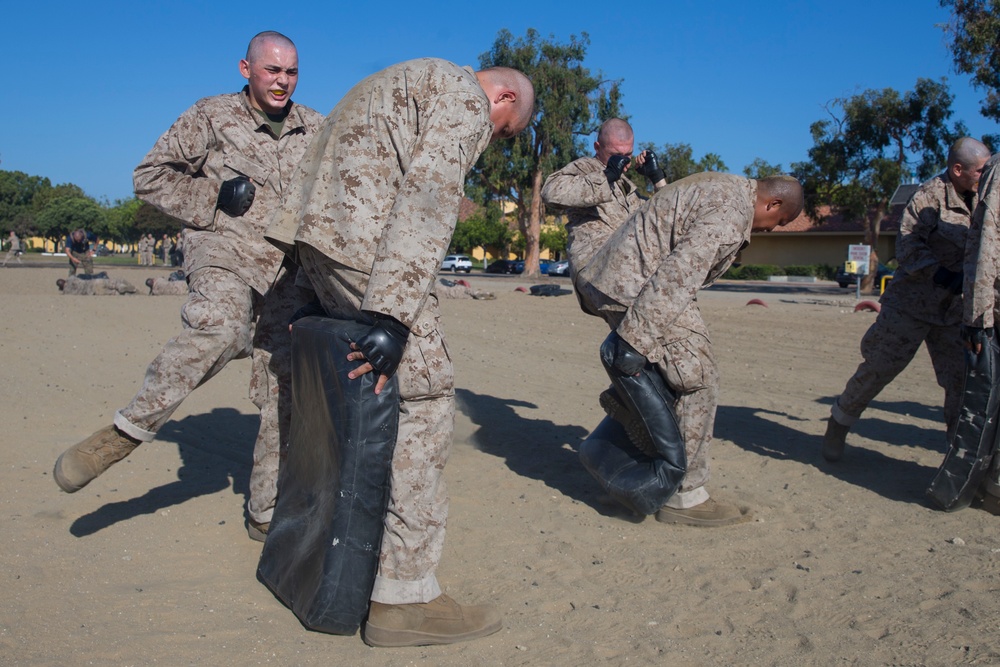 Mike Company Combat Conditioning Course