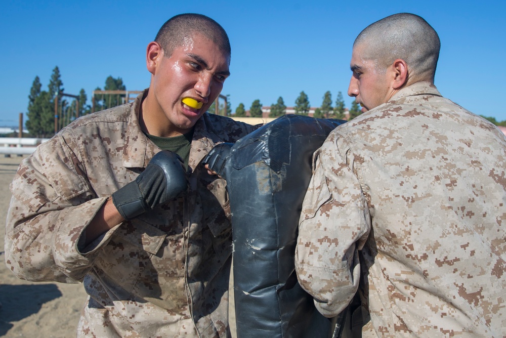 Mike Company Combat Conditioning Course