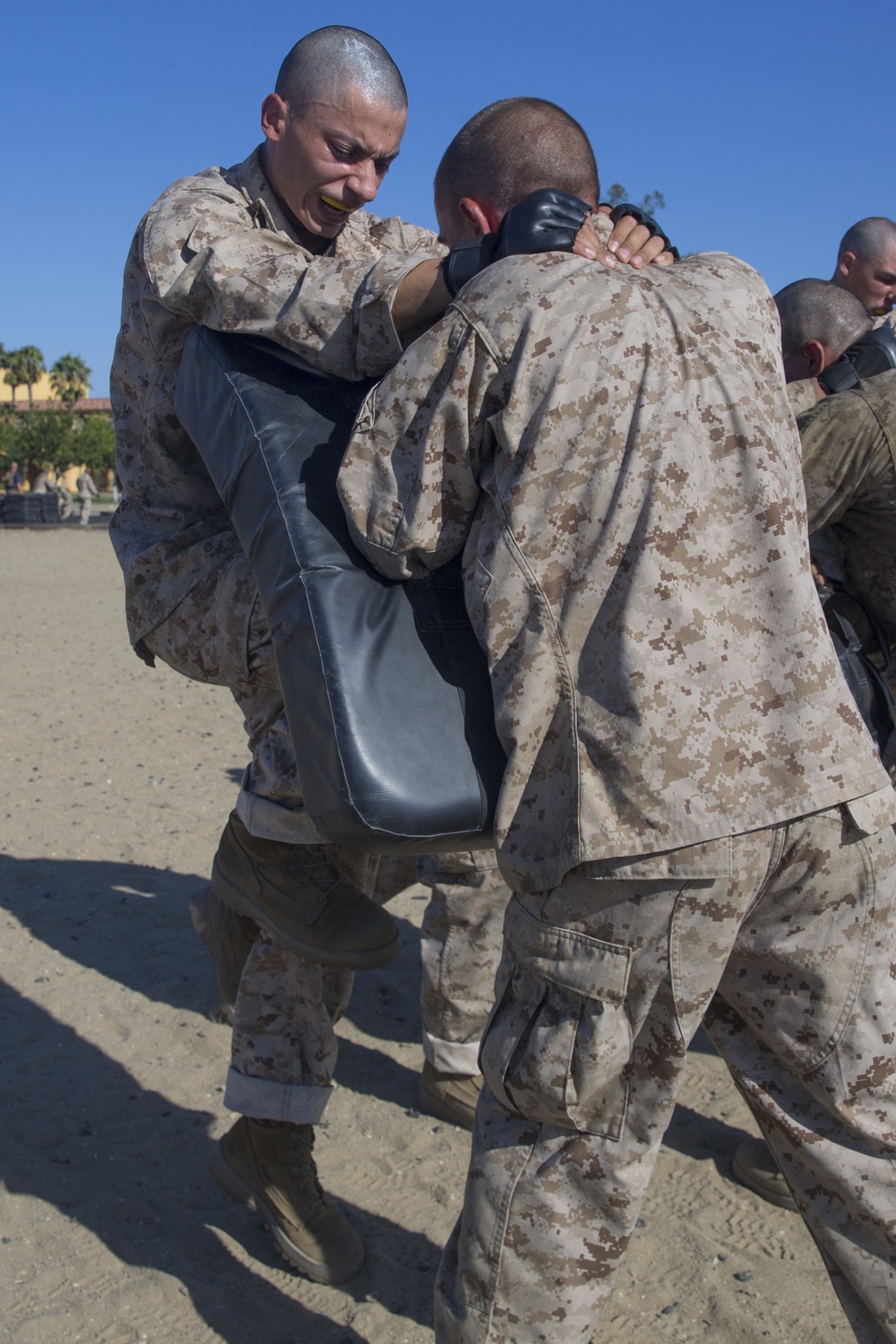 Mike Company Combat Conditioning Course