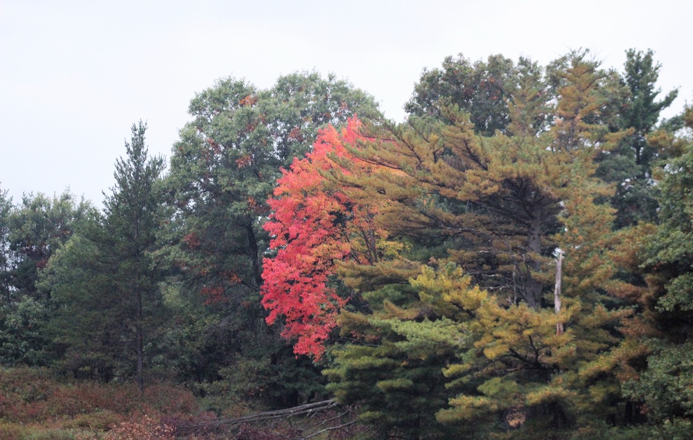 Fort McCoy's Pine View Recreation Area