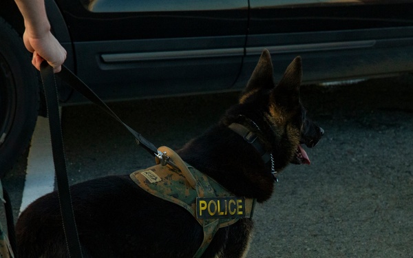 US Marines and base personnel conduct mishap drill