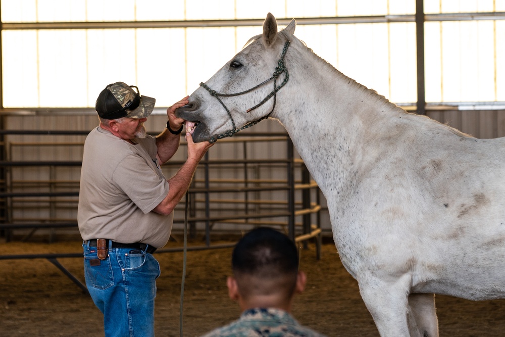 CLB-2 Animal Packing Course