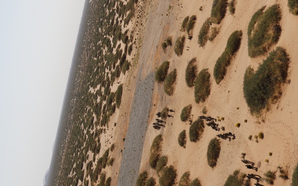 An aerial photograph taken from inside an aircraft, showing a semi-arid landscape with sandy terrain dotted with green shrubs or bushes. A dirt or gravel road/track runs diagonally through the scene, and several groups of dark-colored animals — likely cattle or wildlife — are visible on the ground below. The image is rotated approximately 90 degrees, suggesting it was taken through a tilted aircraft window.