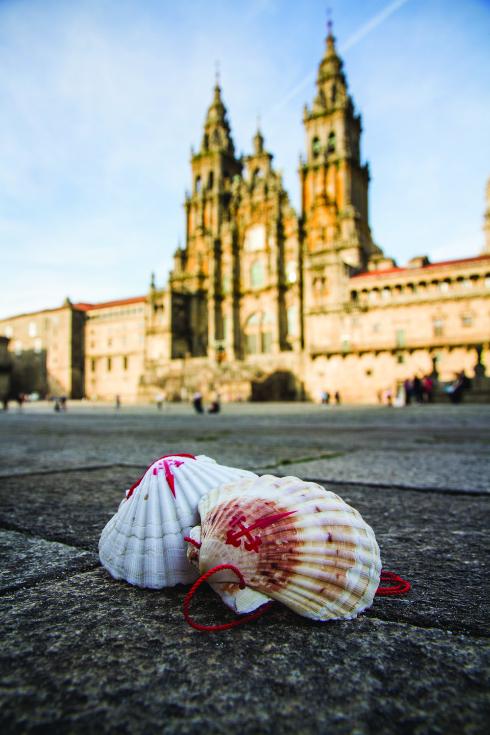 Navigating Your Camino During This Time of Coronavirus