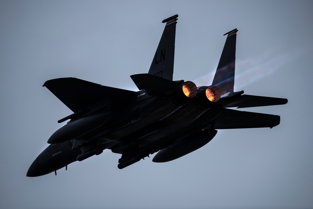 Eagles in the sky during Max 20-20