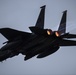Eagles in the sky during Max 20-20